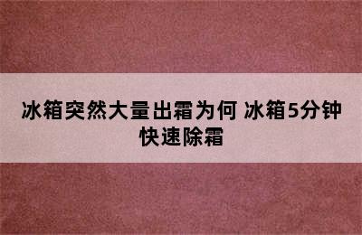 冰箱突然大量出霜为何 冰箱5分钟快速除霜